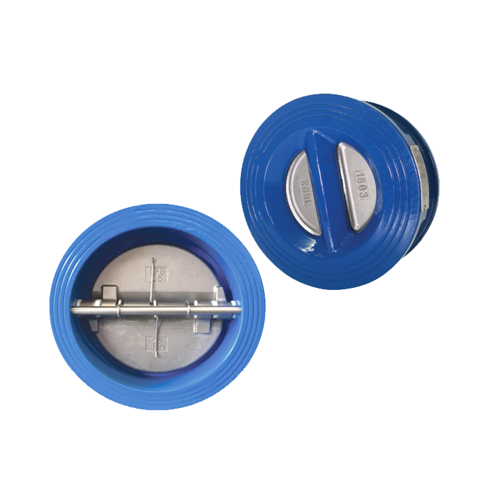 Van Một Chiều Bướm WBCX