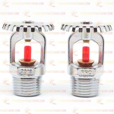 Đầu Phun Protector