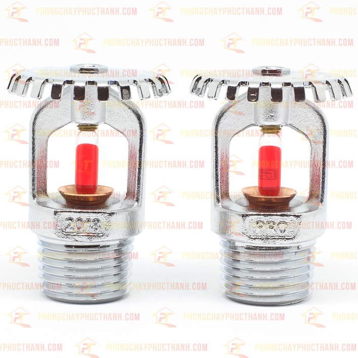 Đầu Phun Protector