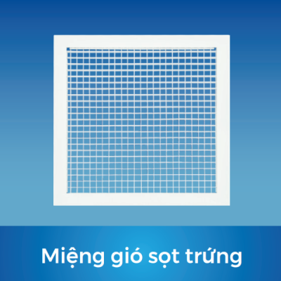 Miệng gió sọt trứng